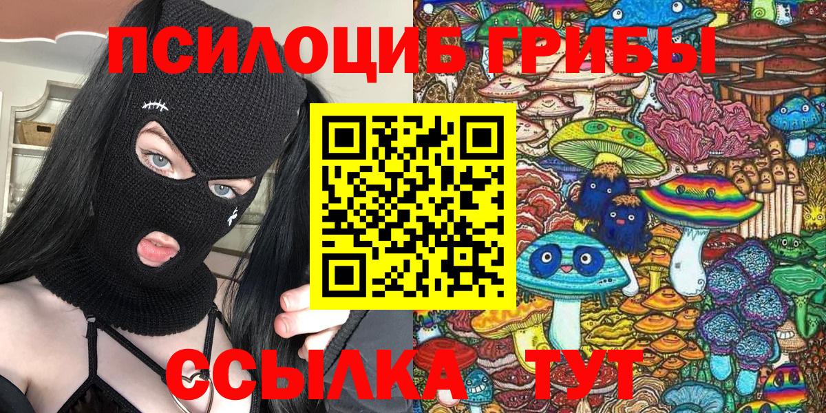 Ноябрьск  Галлюциногенные грибы прущие грибы  Вход с VPN 